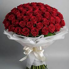 Букет 101 Красная роза Блэк Мэджик в Шиморское