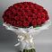 Букет 101 Красная роза Блэк Мэджик в Шиморское
