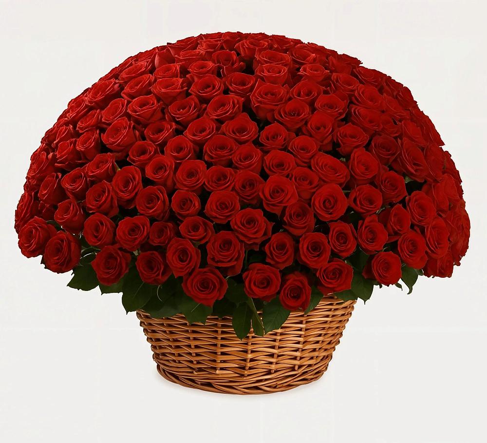 Премиум букет из: Розы в Шиморское