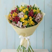 Букет цветов из:  Альстромерии в Шиморское