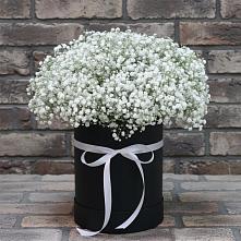 Цветочная композиция из Гипсофила в шляпной коробке в Шиморское