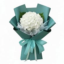 Букет цветов из:  Гортензия в Шиморское